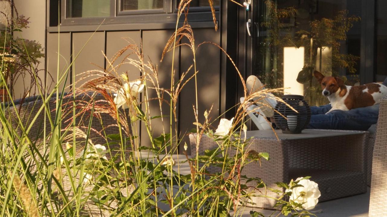 Bed and Breakfast Les Terrasses De Templeuve Экстерьер фото